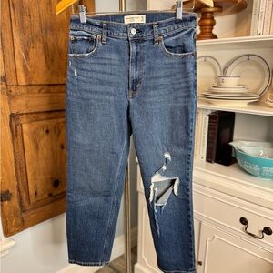 Abercrombie The Mom Jeans High Rise Distressed Size 26 Extra Short